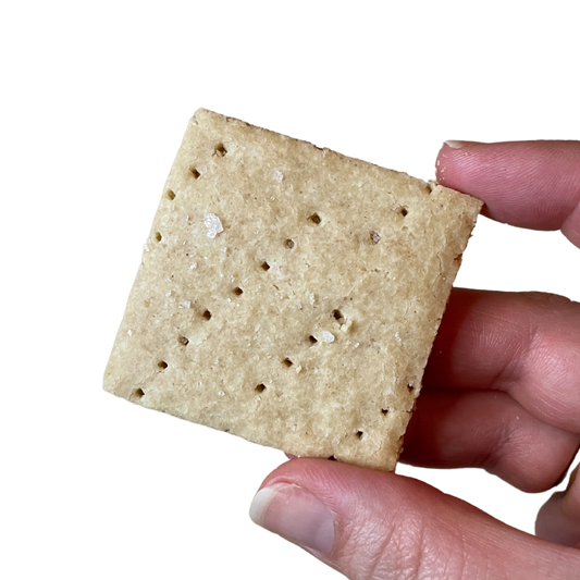 Grain-Free Sea Salt Crackers